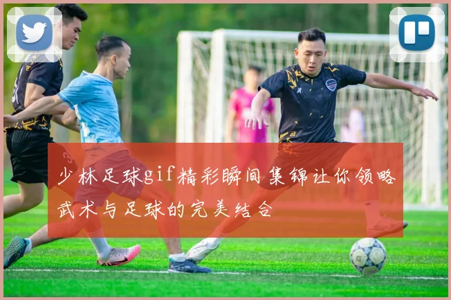 少林足球gif精彩瞬间集锦让你领略武术与足球的完美结合