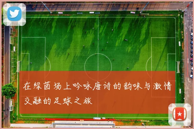 在绿茵场上吟咏唐诗的韵味与激情交融的足球之旅