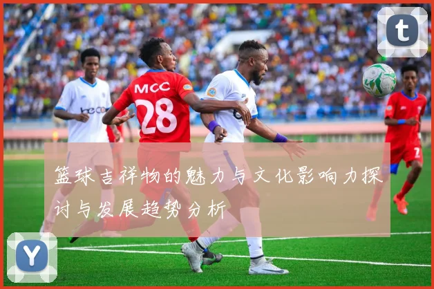 篮球吉祥物的魅力与文化影响力探讨与发展趋势分析