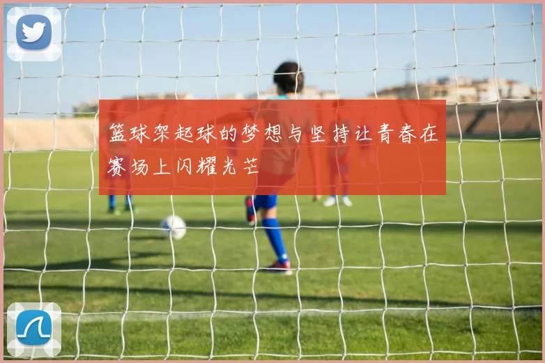 篮球架起球的梦想与坚持让青春在赛场上闪耀光芒