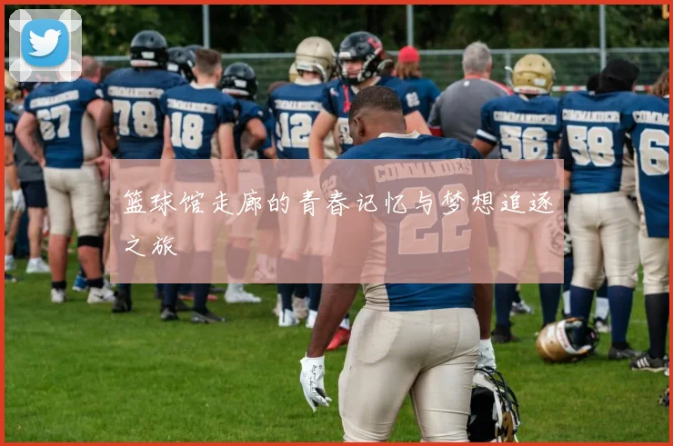 篮球馆走廊的青春记忆与梦想追逐之旅