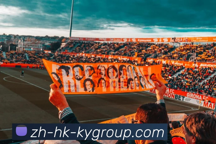 开云平台生态图